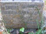 image of grave number 147208